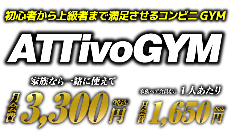アッティーボジムは月額3300円