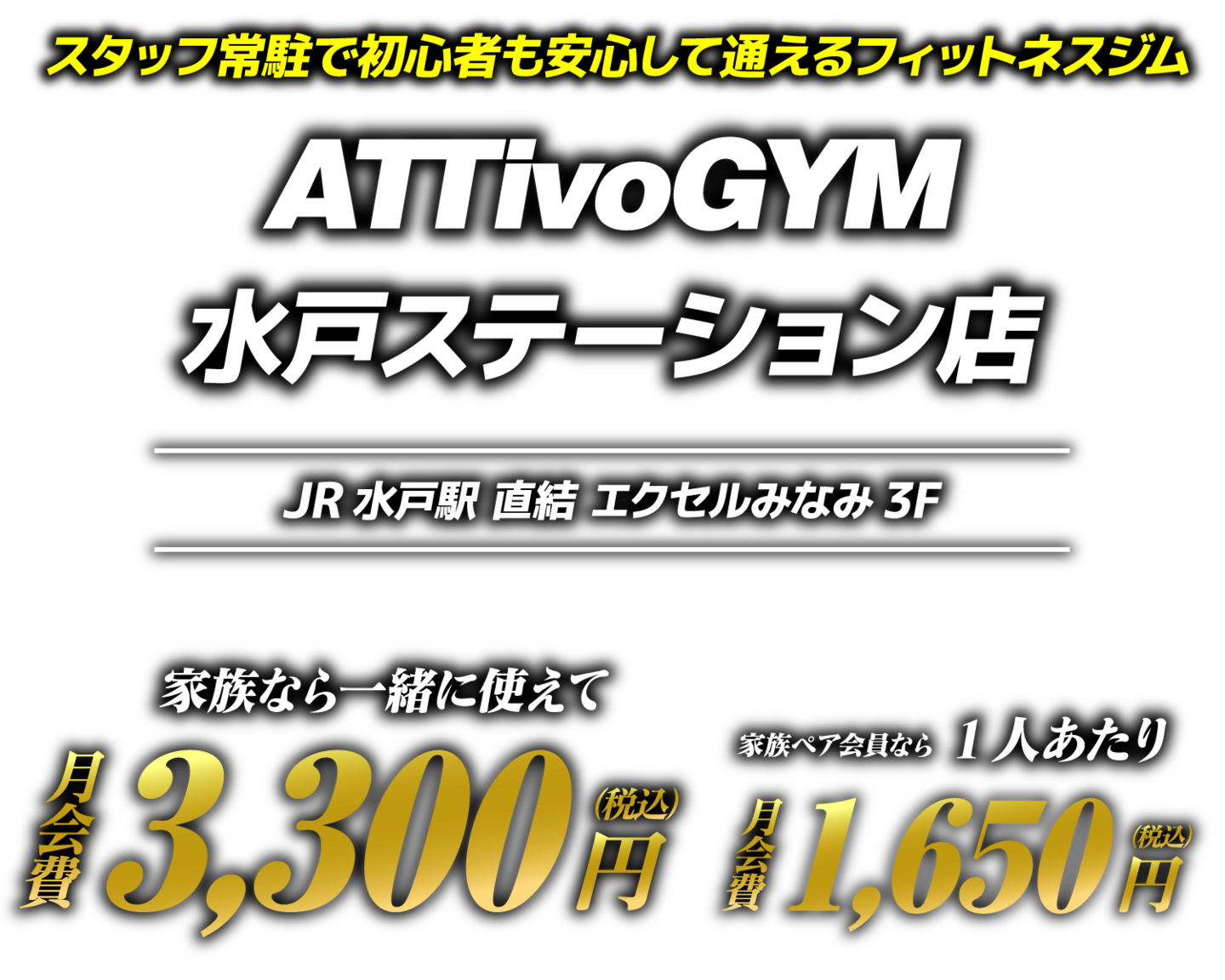 アッティーボジム水戸ステーション店