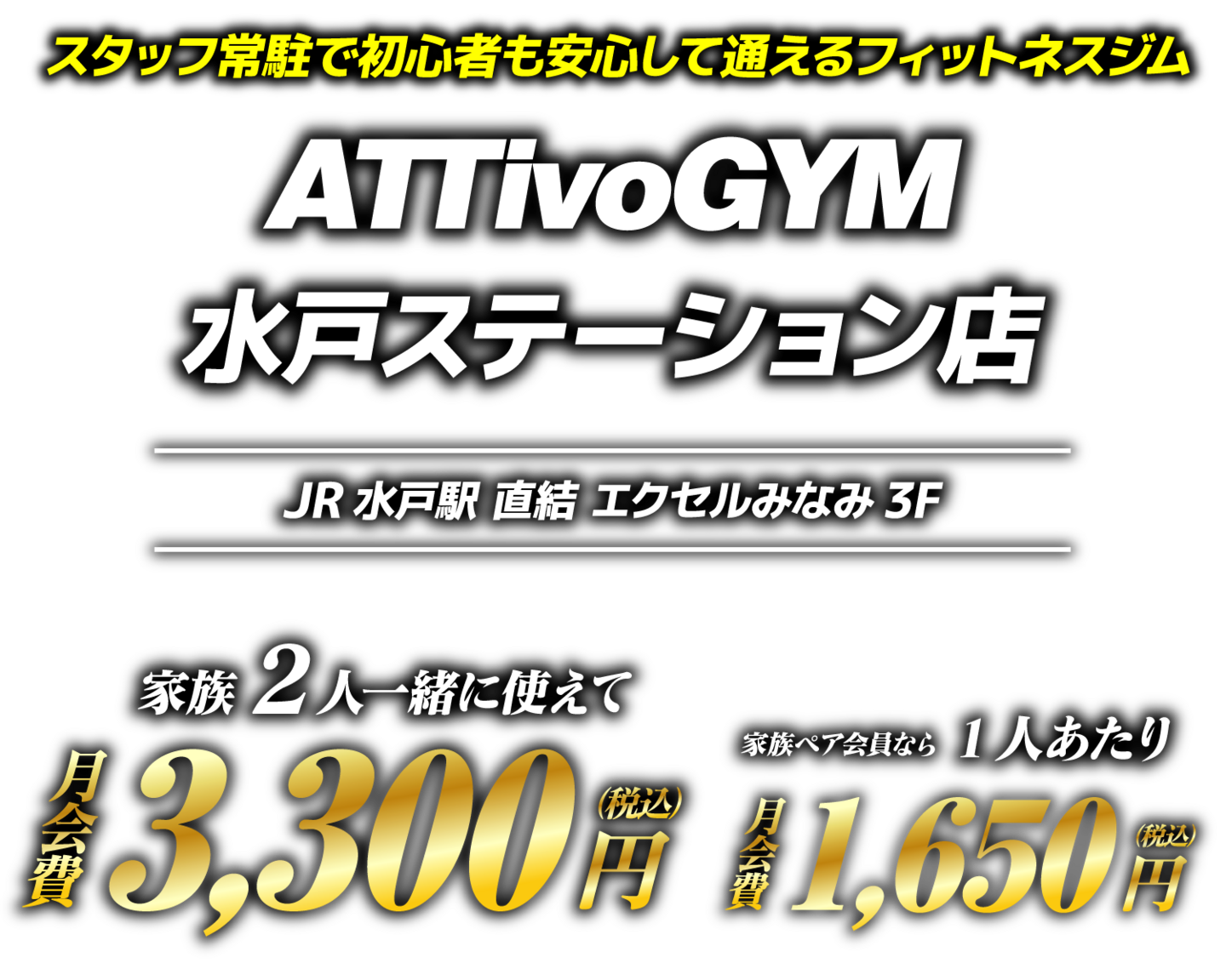 アッティーボジム水戸ステーション店