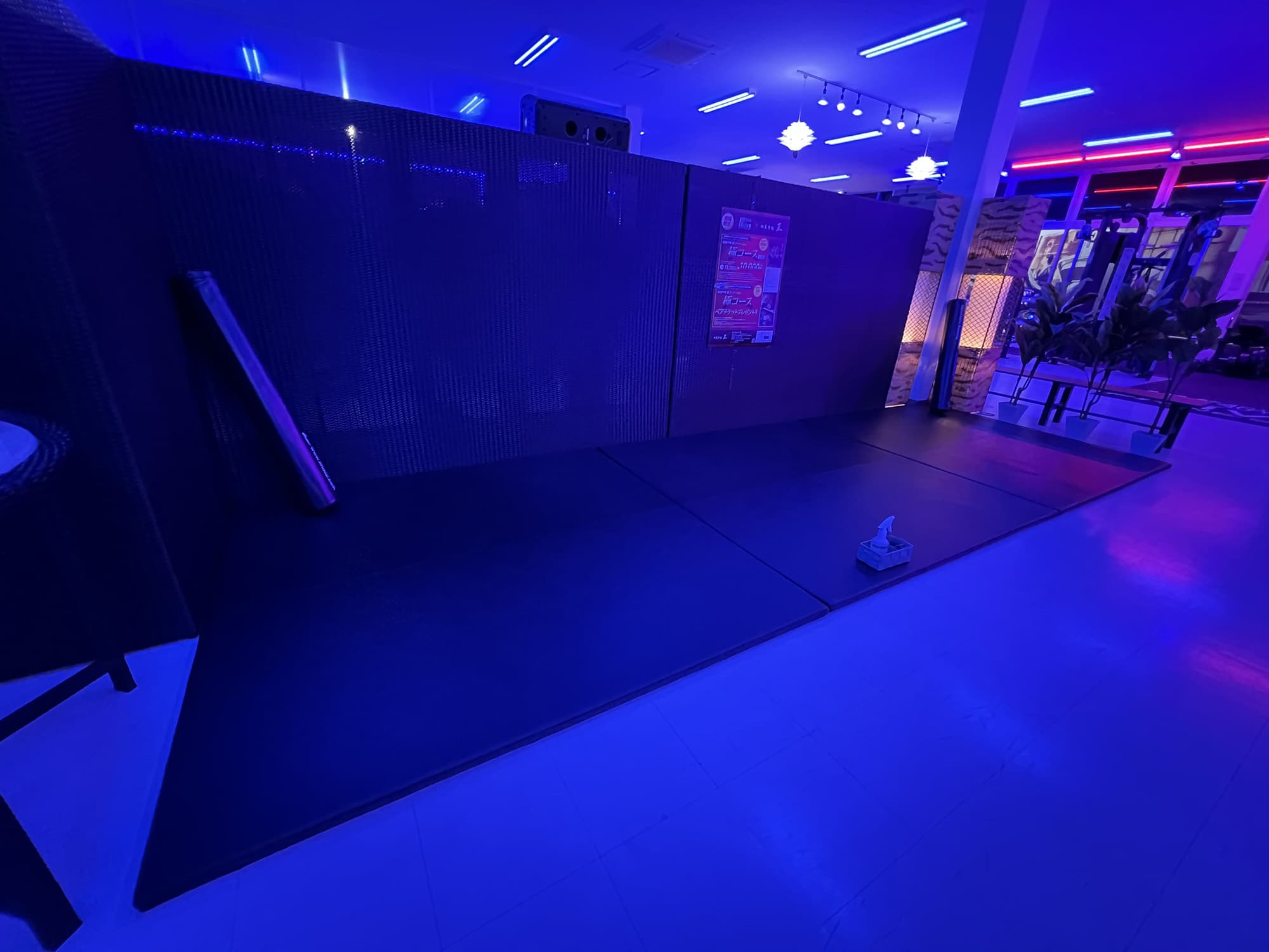 img20240513165430217674.jpg