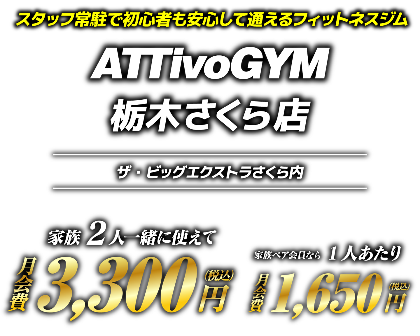 アッティーボジム栃木さくら店