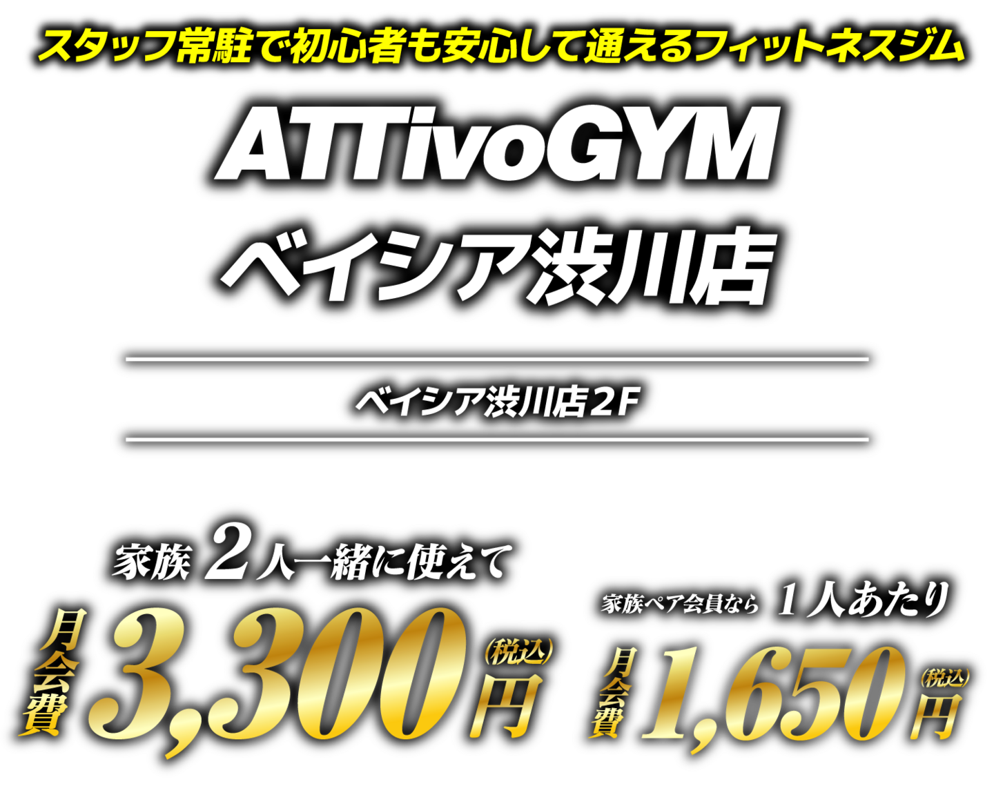 アッティーボジムベイシア渋川店